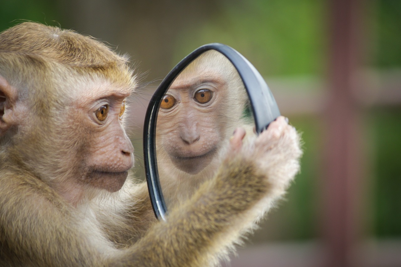 Self-esteem and Confidence - The Inseparable Duo